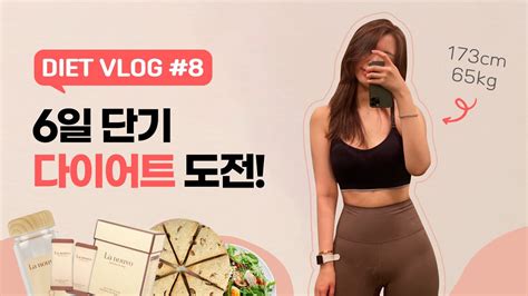 Diet Vlog 바디프로필 준비 브이로그 8💪🏻 6일 단기 다이어트 챌린지🔥 6일 2kg What I Eat In A Week Youtube