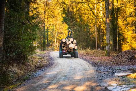 El Sector Forestal Futuro Y Sostenibilidad Grupo Forma T