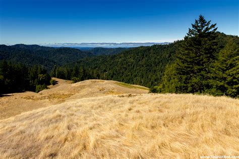 Fort Bragg California Beautiful Panorama Of The Jackson State Forest Seen From The High Point