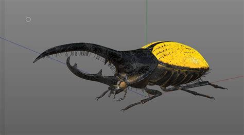 Hercules Beetle 3d Model By 3dstudio