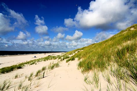 Nordseeinsel Amrum Der Urlaubär unterwegs