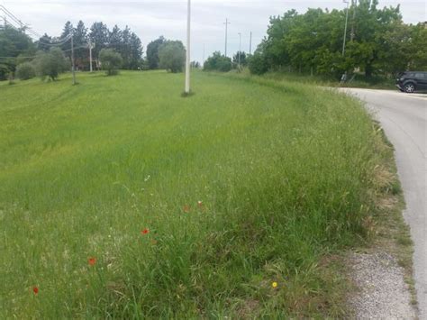 Terreno Agricolo Di 15 Mila Metri In Splendida Posizione Annunci Ancona