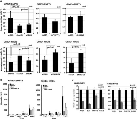 Down Regulation Of Ahcy Blm Cks B And Pkmyt Increases Apoptosis And