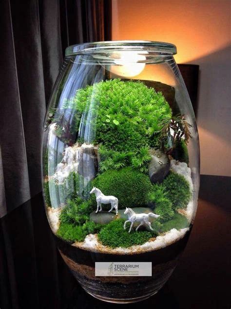 Stunning Bonsai Terrarium For Miniature Landscaping In The Jars