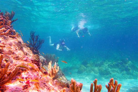 Epic Self Guided Snorkeling In Curaçao — Deviating The Norm