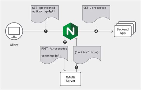 Configure Nginx And Keycloak To Enable Sso For Proxied Applications