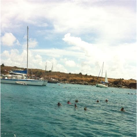 Snorkeling at Buck Island St Thomas | Favorite places, Travel, St thomas