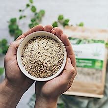 Loov Organic Raw Shelled Hemp Seeds Hemp Hearts Kg Not Heat Treated