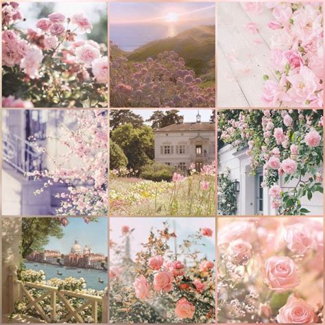 Pink Flowers Moodboard Mood Board Inspiration Mood Board Design