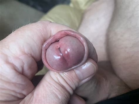 My Pictures Of My Ass With Dido And My Cock 5 Pics XHamster