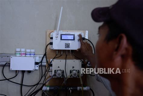 Menengok Budidaya Hidroponik Di Atas Atap Masjid Asy Syifa Rscm