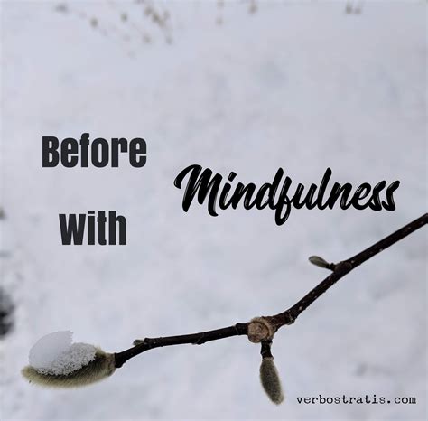 VerboStratis: Before Mindfulness With Mindfulness