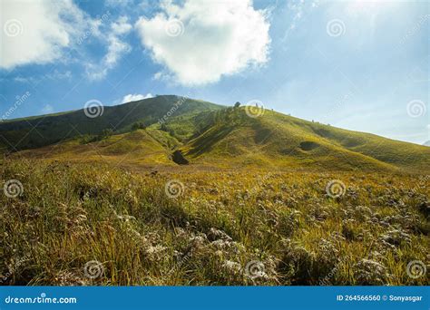 The Beauty Of Teletubbies Hill A Vast Savanna Landscape One Of The