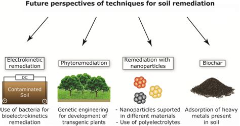 The New Approaches Of The Techniques For Soil Remediation Download