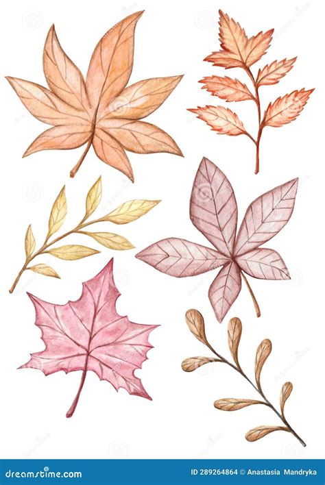 Hand Drawn Watercolor Set Of Autumn Leaves In Pastel Colors Stock