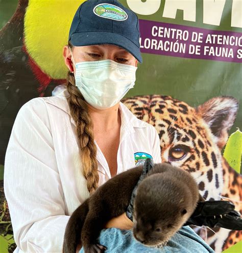 Corpamag Autoridad Ambiental Del Magdalena En El D A Nacional De La