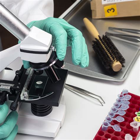 5 Panel Hair Drug Test| POM Drug Testing Services