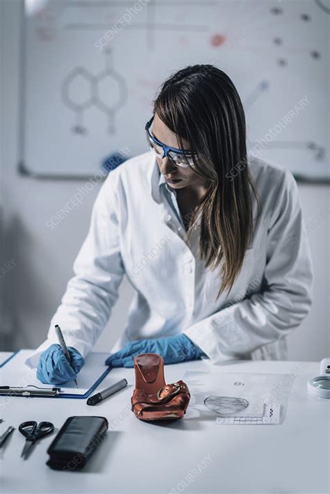 Forensics Expert Examining Crime Scene Evidence Stock Image F024