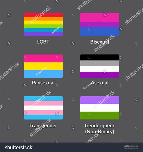 Set Lgbtqa Pride Flags Traditional Rainbow Stock Vector 423630982 Shutterstock