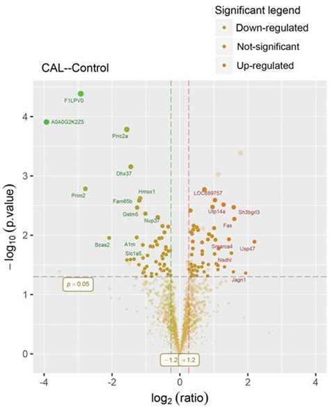 Volcano Plot Showing Proteomics Data These Points Indicates Different Download Scientific