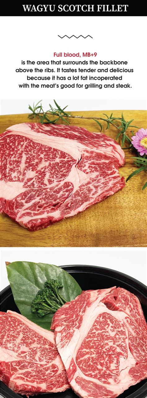 Wagyu Scotch Filletfull Blood Marble Score 9 400g Luminousj