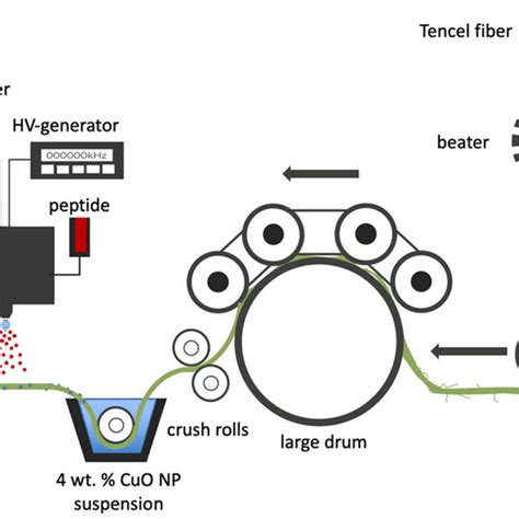 Schematic Of The Fabrication Sequence Of Peptide Coated Nano CuO Tencel