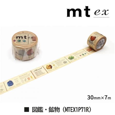 Mt マスキングテープ カモ井加工紙 Mt Ex パンジー Mtex1p149r 和紙テープ 日本製 ラッピング ギフト包装165円