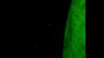 Florcita Videos Page Xvideos