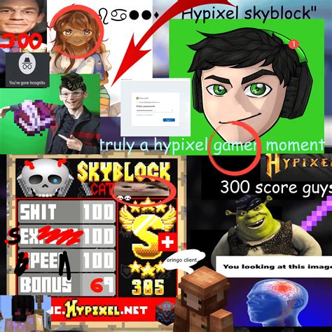 Rate My 300 Score Message Rhypixelskyblock