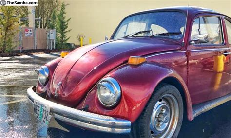 TheSamba VW Classifieds WTB Pre 1972 Standard Beetle