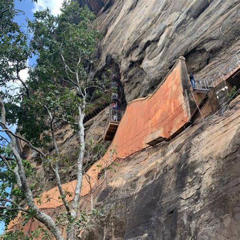 Desde Bentota Excursión a la Roca del León de Sigiriya y al Templo de