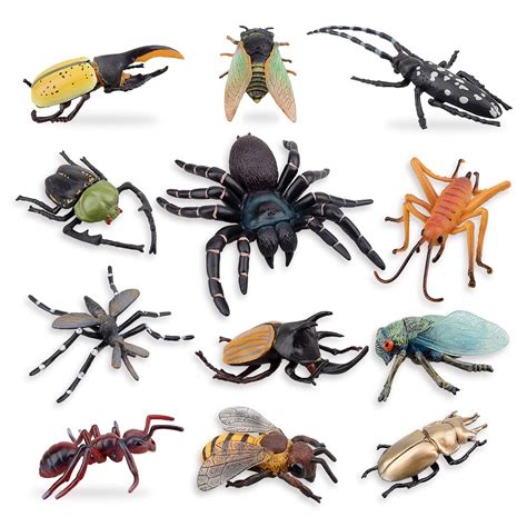 Buy Toymany Pcs Realistic Insects Figures Toys Plastic Bugs