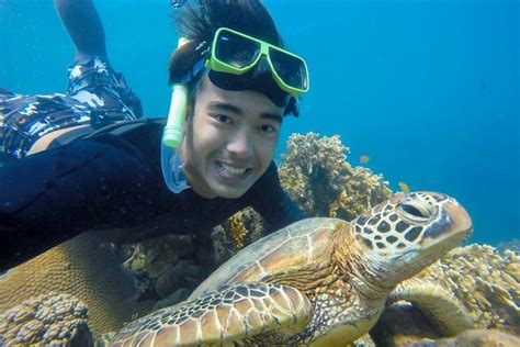 Whitsunday Islands Plane Ride + Snorkeling from Airlie Beach