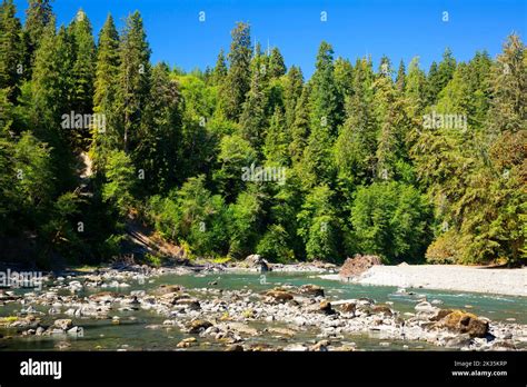 Hoh River At Hoh Oxbow Campground Olympic Peninsula Forests Dnr