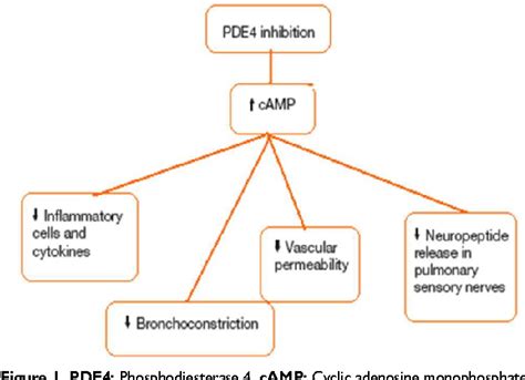 Pde4 Inhibitor Copd Astral Projection