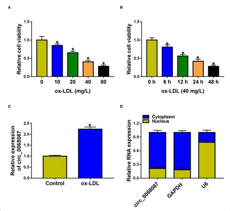 Circ 0068087 Is Upregulated By Ox LDL In HUVECs A Cell Viability