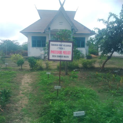 Kantor Posyandu Dan Tanaman Toga Desa Sumber Mulya