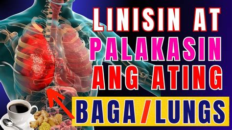 Mga Pagkaing Pampalinis At Pampatibay Ng Mga Baga Lungs 2024 Youtube