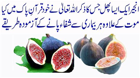 Health Benefit Of Anjeer Figs Injeer Anjeer Ke Fawaid Fayde Figs