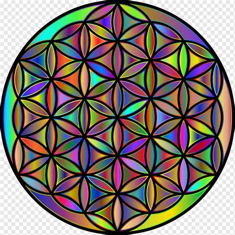 Sacred Geometry Flower Of Life Mandala Best Flower Site