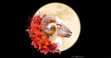 ASTROGRAPH A Full Moon Of Surprises Polarities And Sensitivities