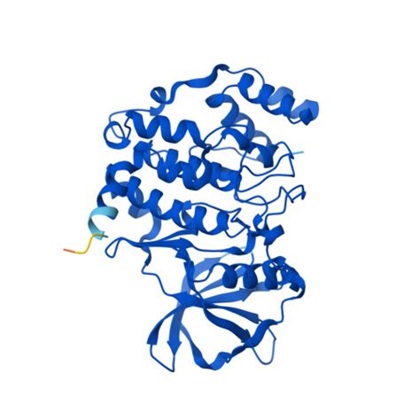 RCSB PDB AF AFB6F107F1 Computed Structure Model Of Casein Kinase II