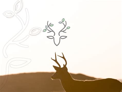 Deer logo + brand by Elppa Art on Dribbble