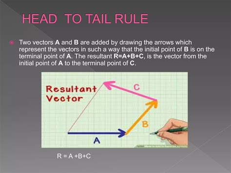 Scalar And Vector Quantities Ppt