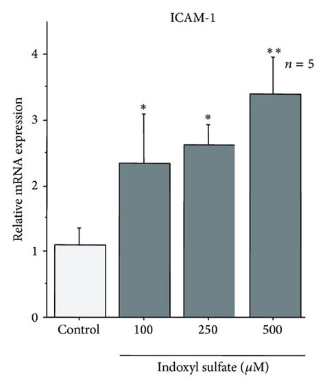 Expression Of Icam 1 And Vcam 1 Mrna In Huvecs Expressions Of Download Scientific Diagram