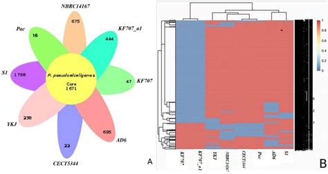 Plot Of The Core And Pan Genome And Venn Diagram For The Core Genome