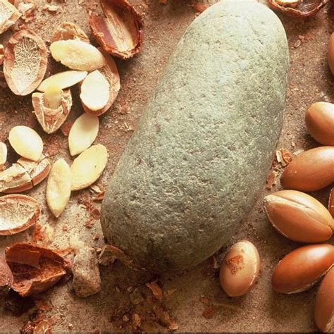 The Benefits of Argan Oil: Production of Argan Oil