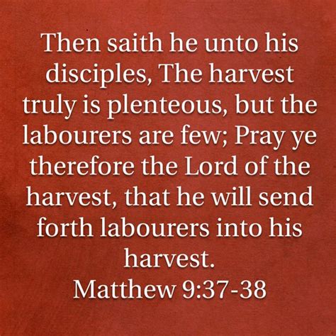 Matthew 9 Holy Bible English Biblewordings 154