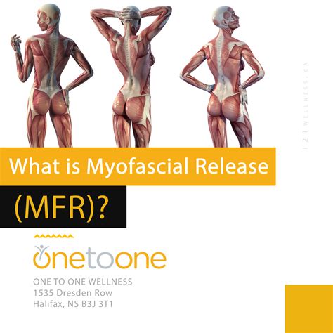 What Is Myofascial Release Mfr One To One Wellness Blog