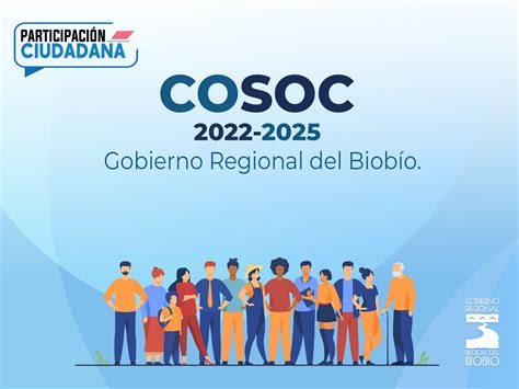 COSOC 2022 2025 GORE Biobío